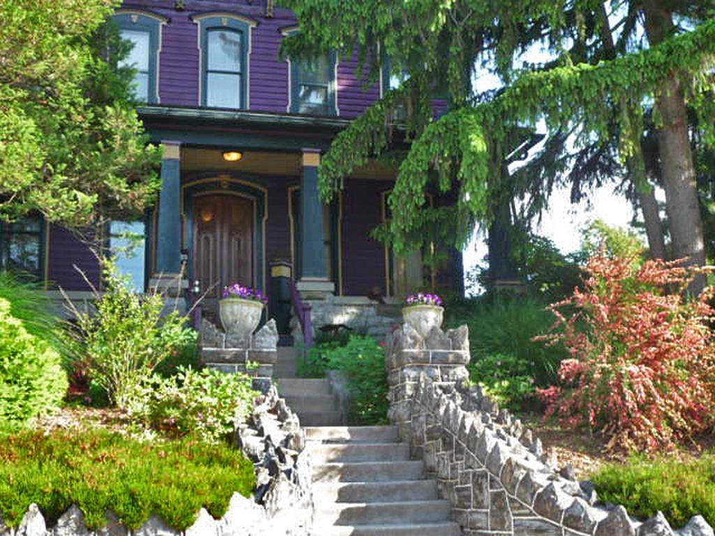 Amethyst Inn Adamstown Стая снимка